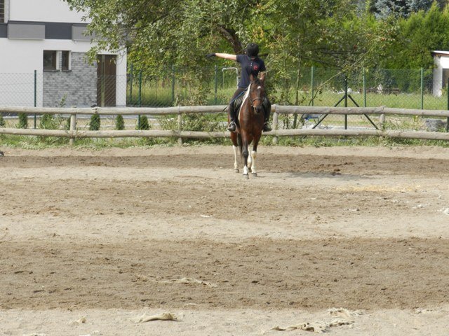 Babie Lato 2016